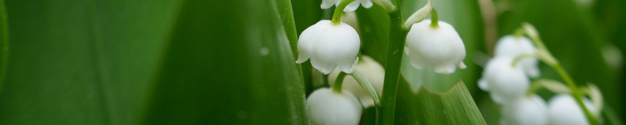 Cover photo for Kim E. Anderson's Obituary