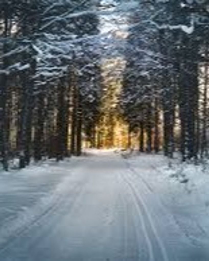 Virgil Thomas Phillips, Jr.