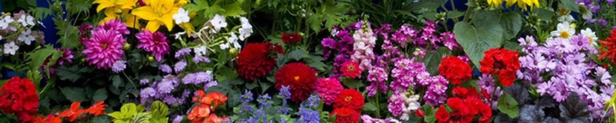 Cover photo for Theresa Hutcheson Floyd's Obituary