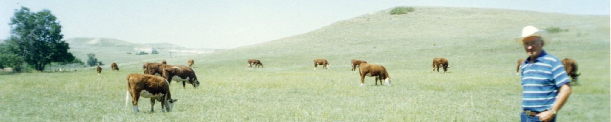 Cover photo for Jim Ozbun's Obituary