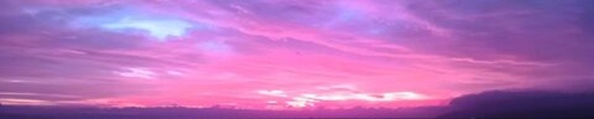 Cover for Paulina Amber McCabe's Obituary