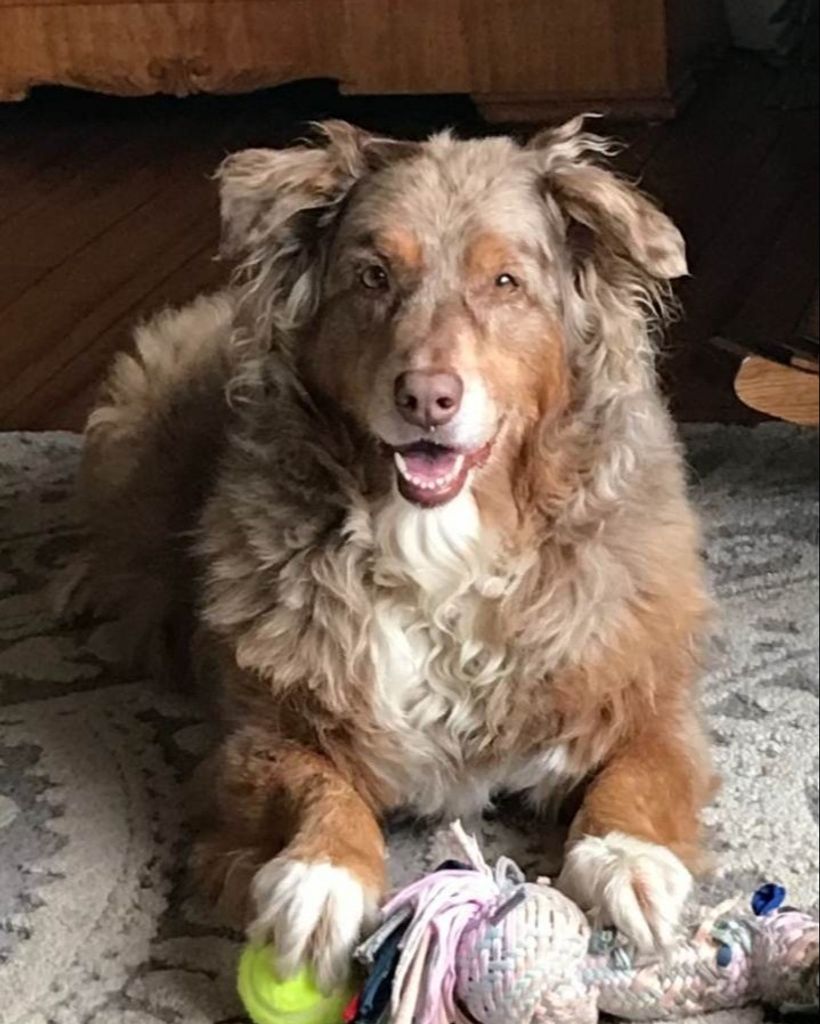 Lucy