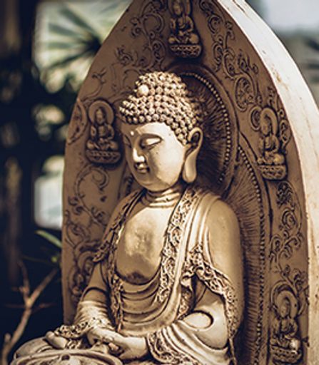 Yuen Lo Profile Photo