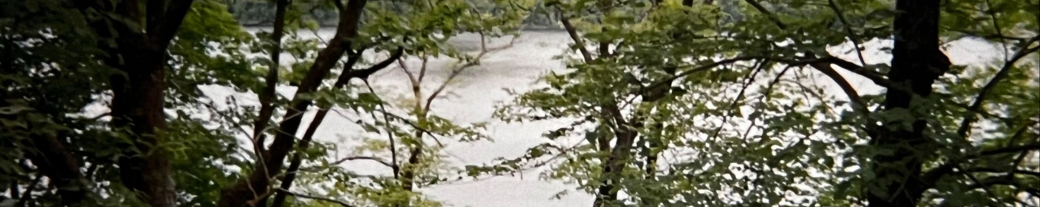 Cover for Oliver J. Duvall's Obituary