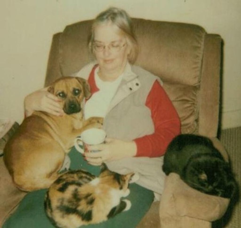 Luann B. Bentz-Tidd Profile Photo