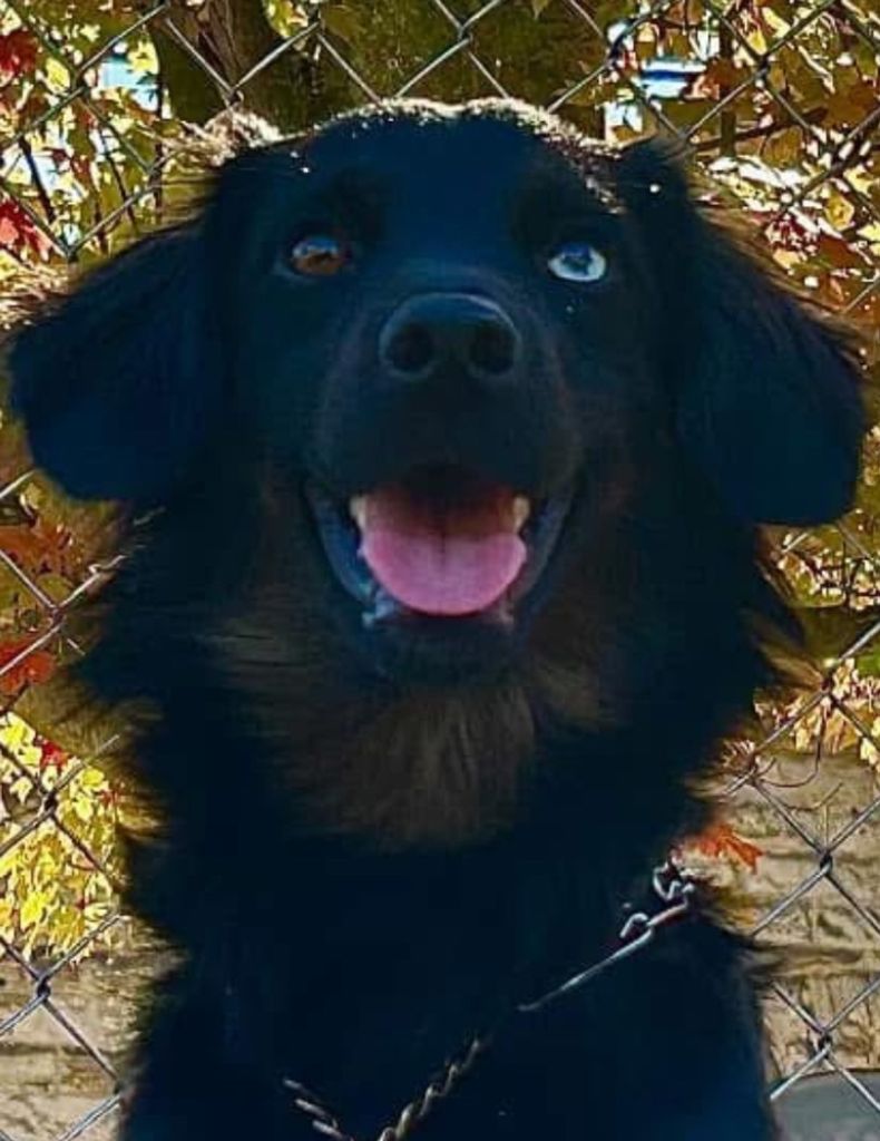 Bear Soloski Profile Photo