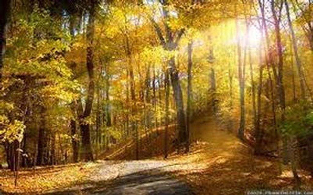 James W. Cross Profile Photo