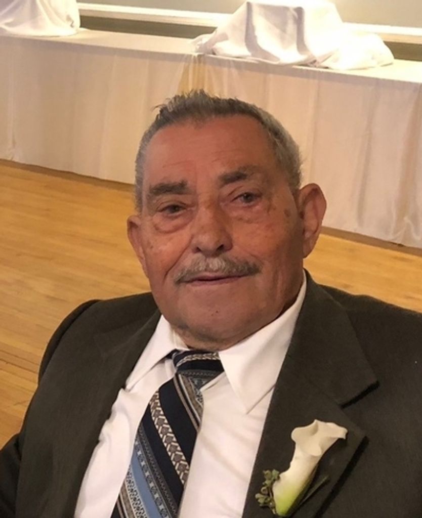 Joao Almeida Profile Photo
