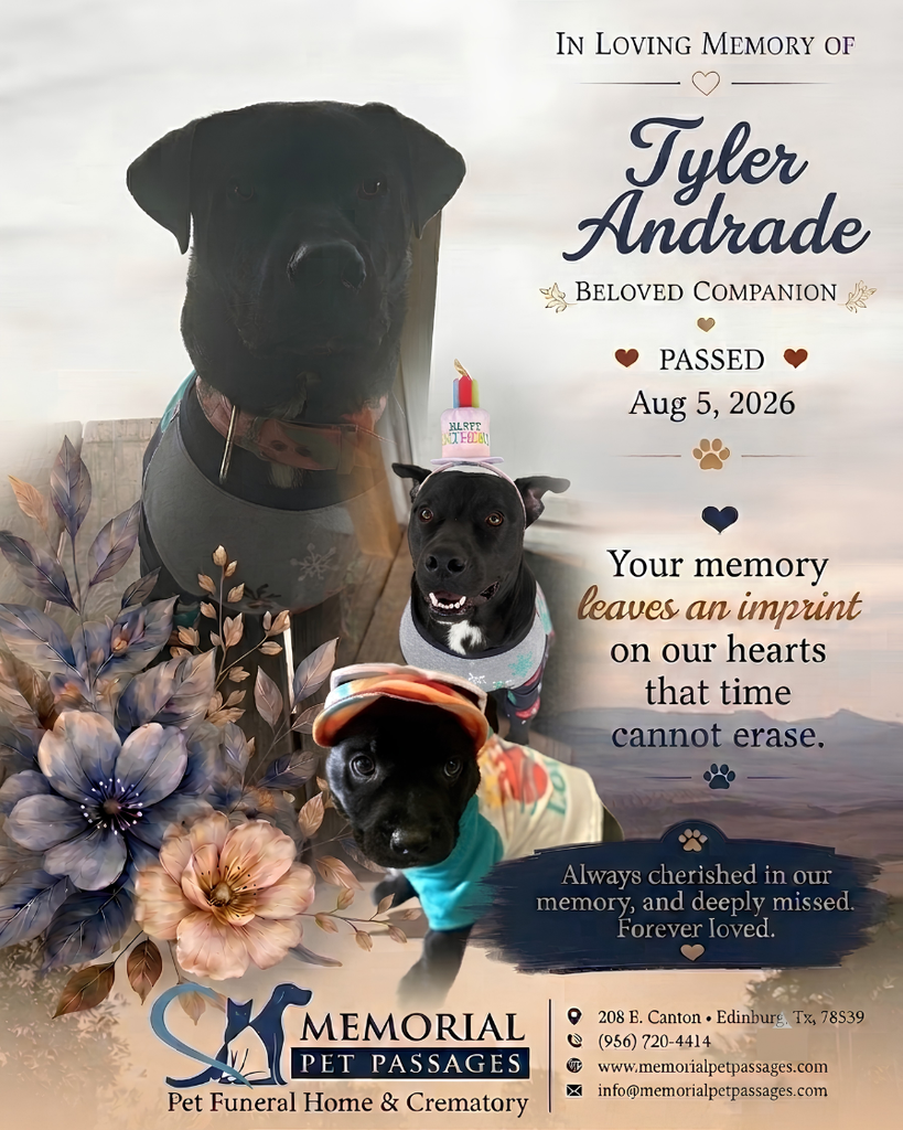 Tyler Andrade Profile Photo