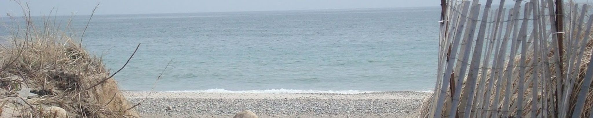 Cover photo for Mary L. (Doherty) Sullivan's Obituary