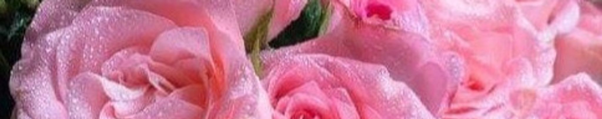 Cover photo for Betty Mae Spivey's Obituary