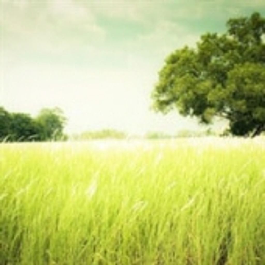 Jose Manuel Benvidez