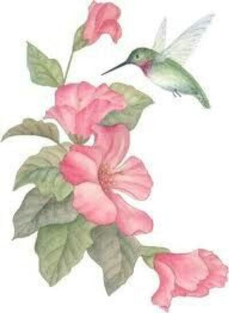 Heidi M. Chace Profile Photo