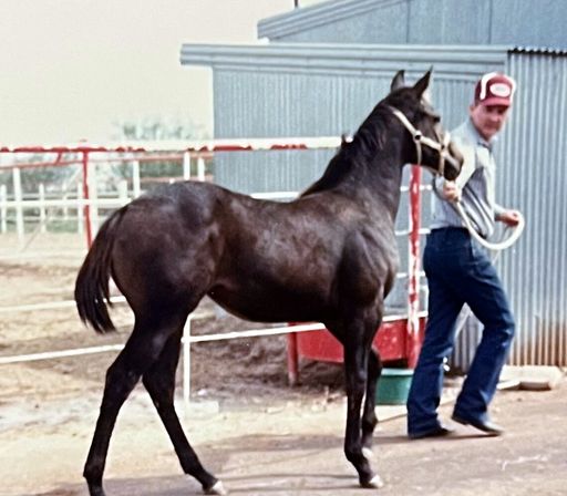 Jimmy R. Coffman photo gallery thumbnail 99 of 103