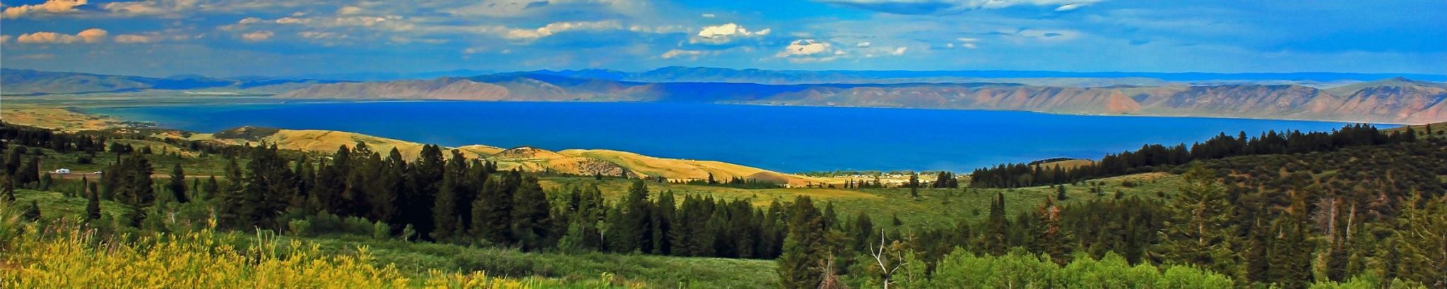 Cover for NellDean Banks Williamson's Obituary