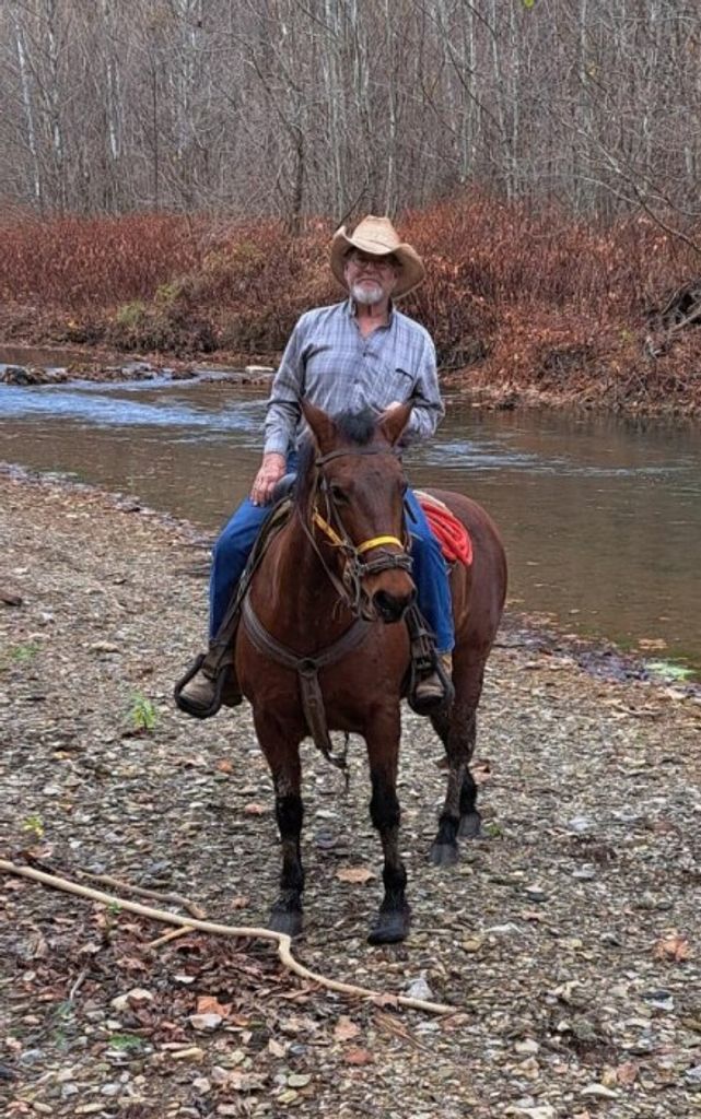 Brian Curtis Vargo Profile Photo