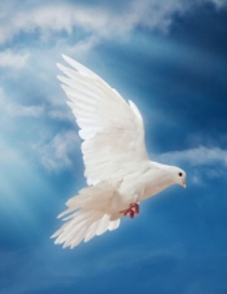 Norman  Edward Dawson