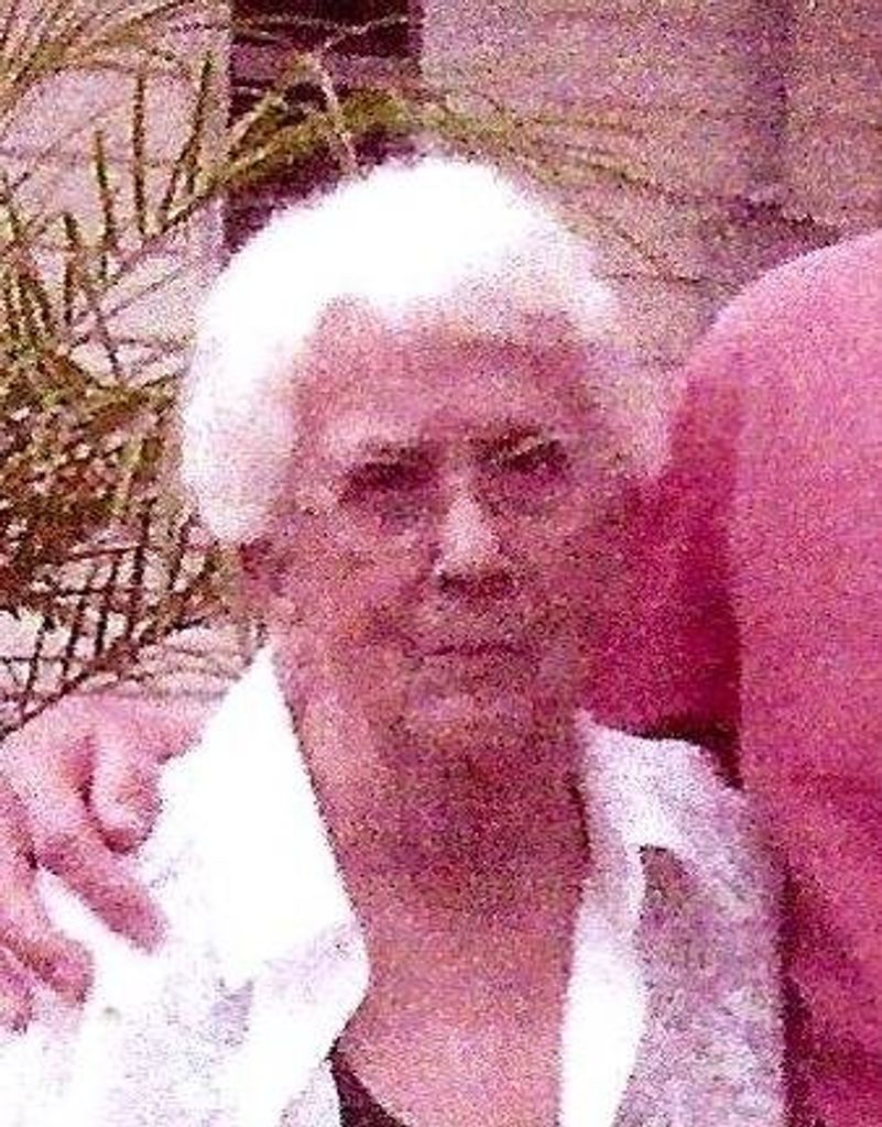 Alice P. Hamilton