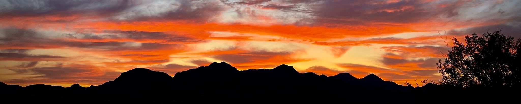Cover photo for Roman Ortega's Obituary