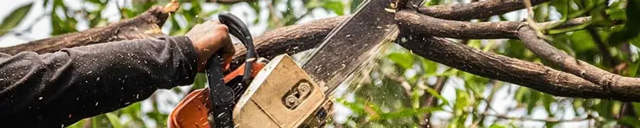 Cover for David Ray Steadman's Obituary