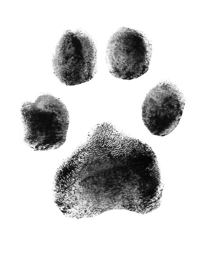 Ziva Riddle Profile Photo
