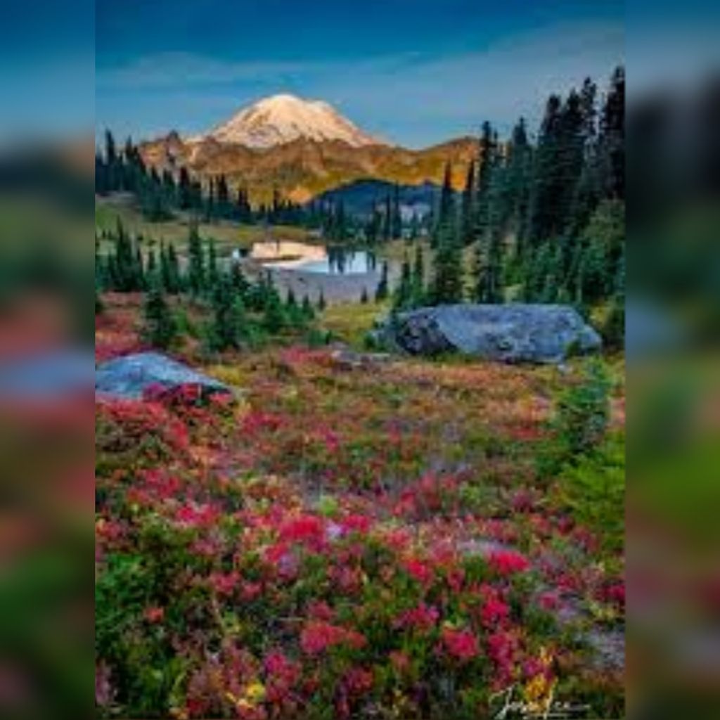 Harvey Lee Brown Profile Photo