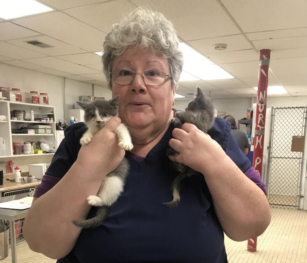 Peggy Ann Peters Profile Photo