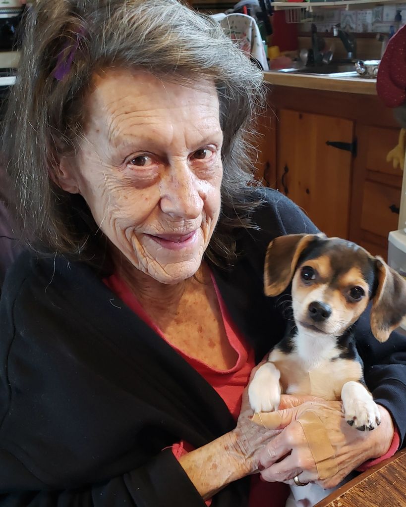 Scarlett "Scottie" Diane North Profile Photo