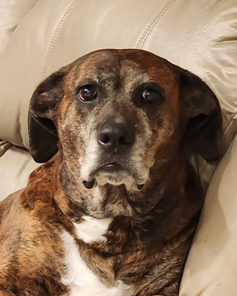 Riley Hedrick Profile Photo