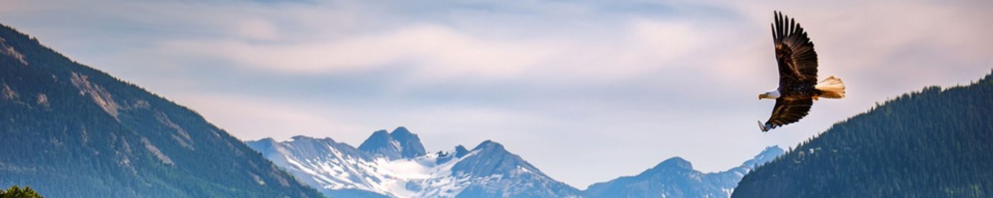 Cover for Mary Ann Nez's Obituary