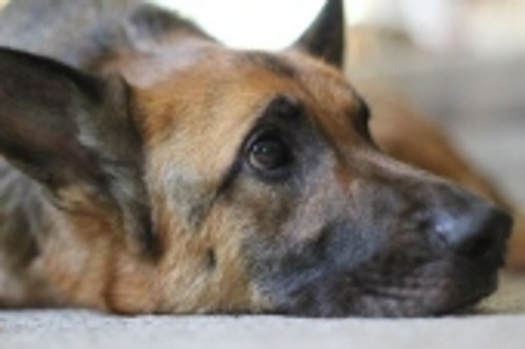 Mavrick Mines Profile Photo