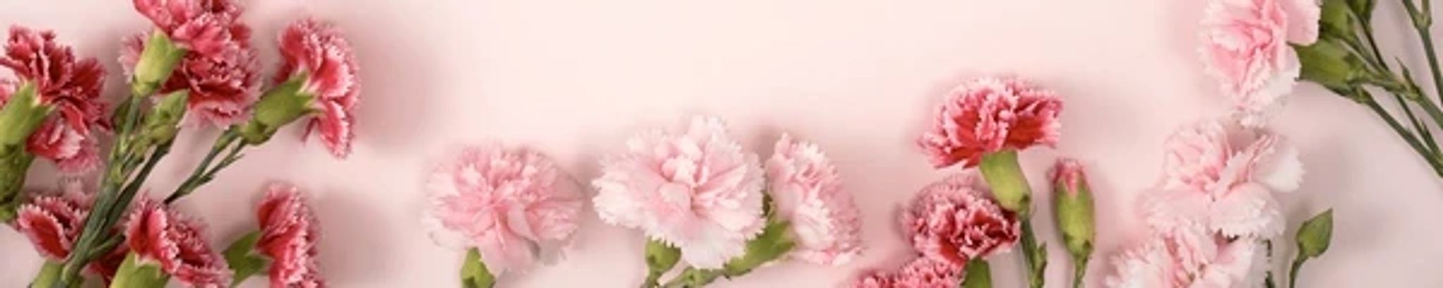 Cover photo for Dora L. Mayette's Obituary