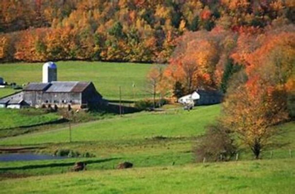 Virginia L. "Gin" Morse Profile Photo