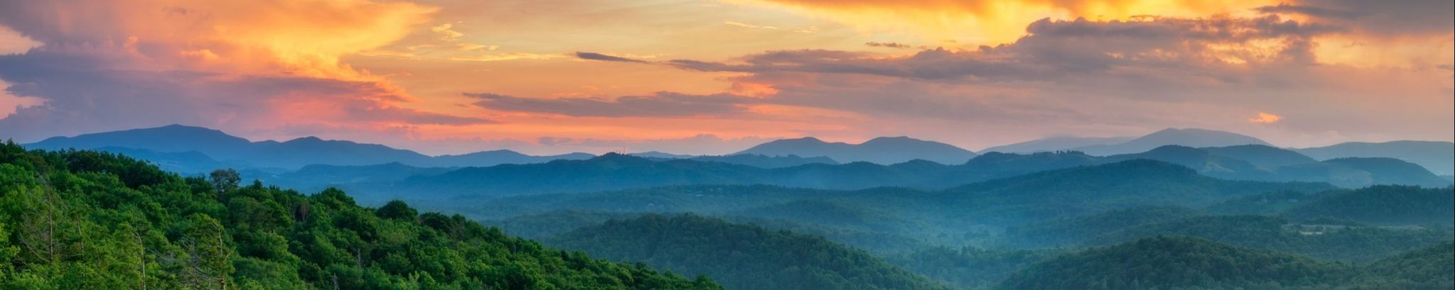 Cover photo for Patricia Gay Matlock Tarlton's Obituary