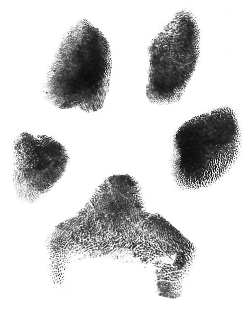 Sophie King Profile Photo