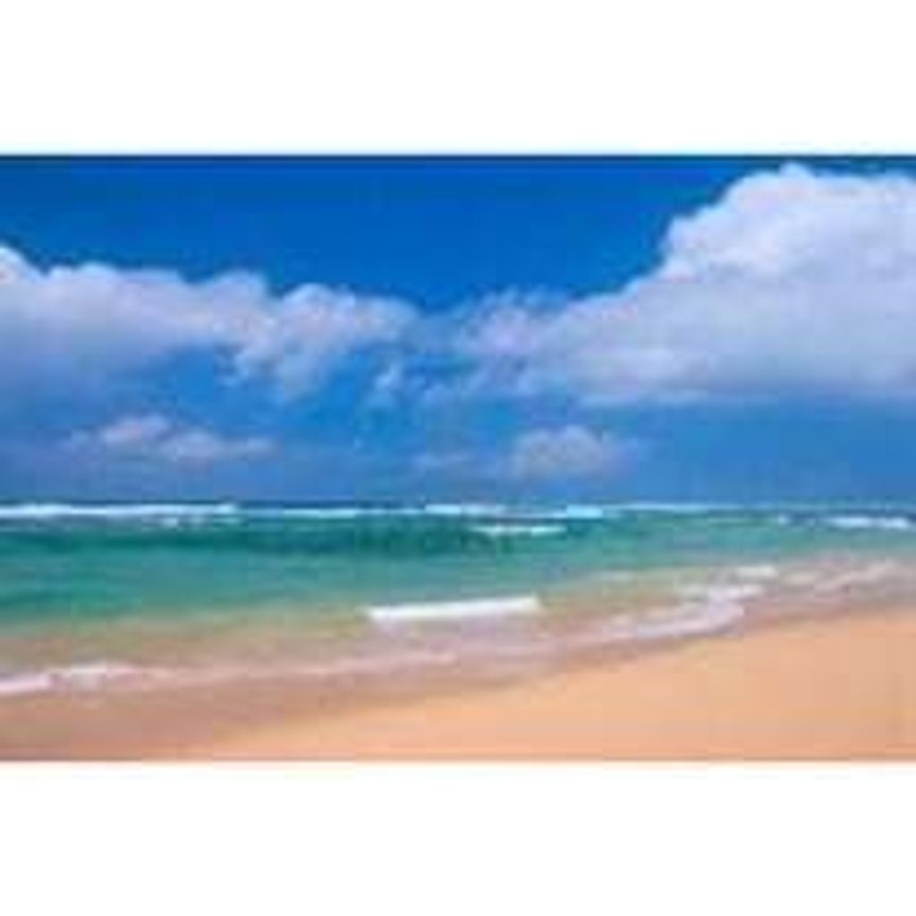 Kristi L. Babcock Profile Photo