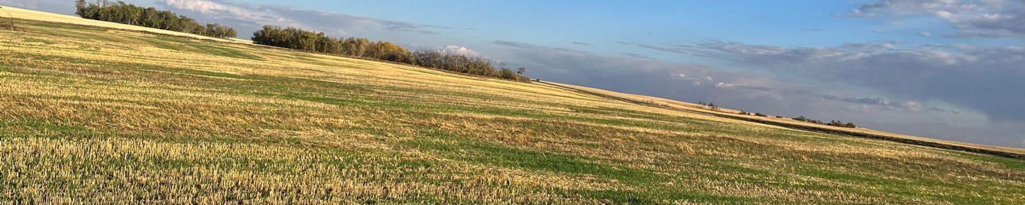 Cover for James "Jim" Gray's Obituary