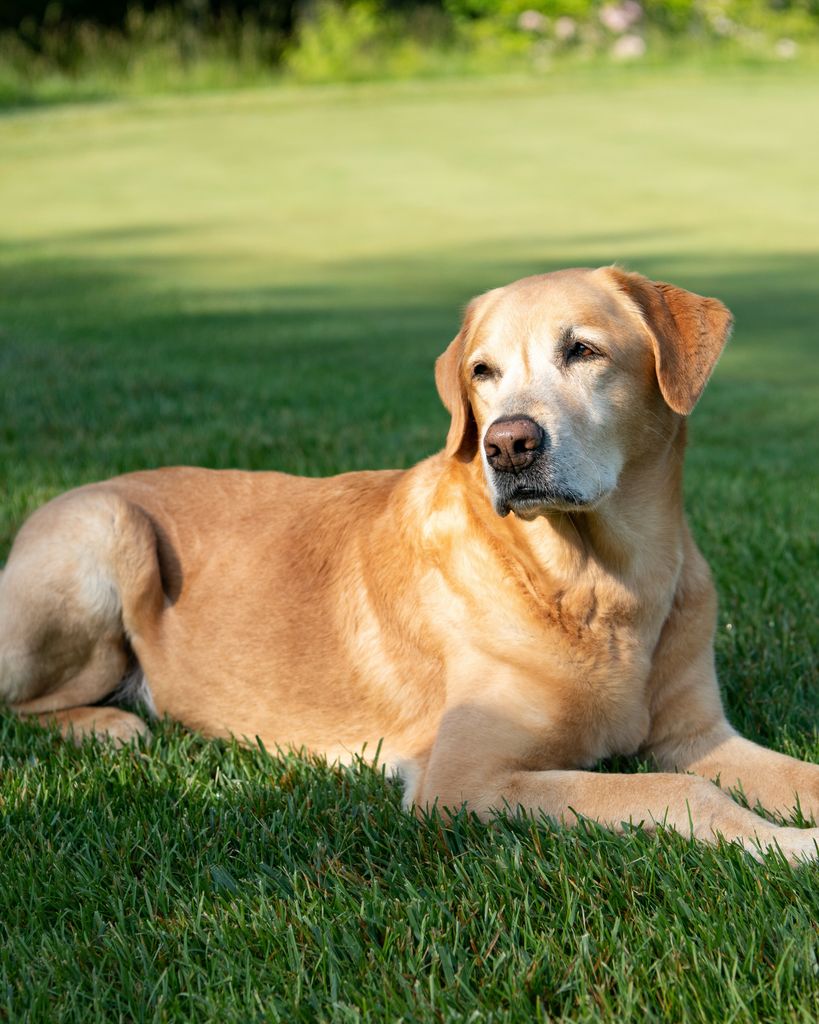 Jackson Ropp Profile Photo