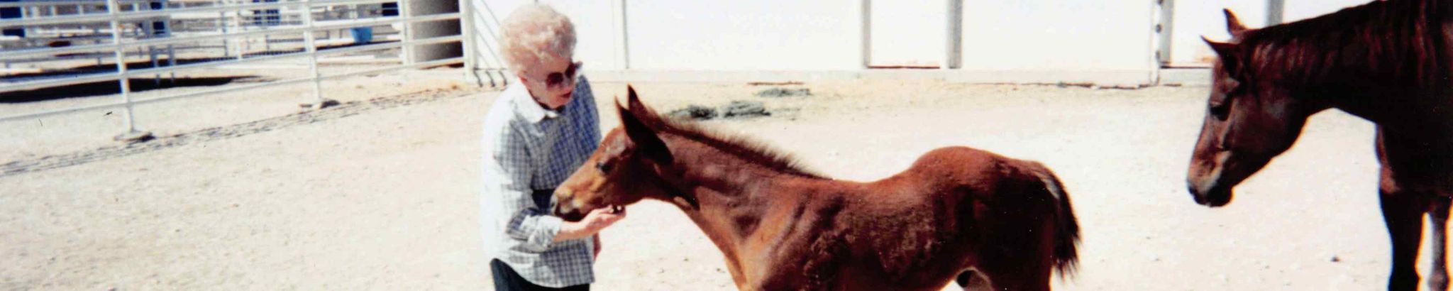 Cover for Suzanne Hunger May's Obituary