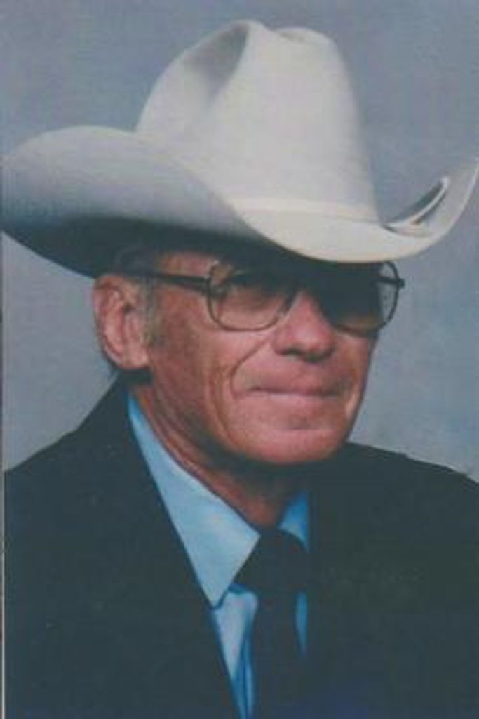 Mady C Whitwell Profile Photo