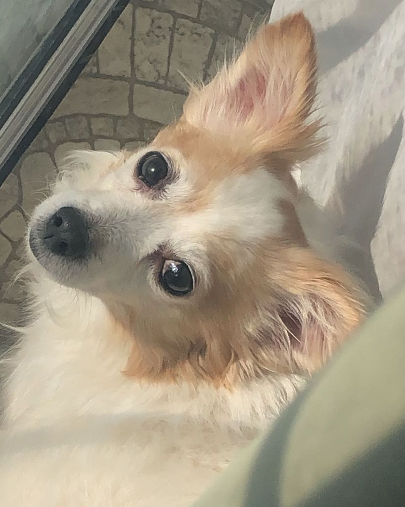 Suzie Hinkle Profile Photo