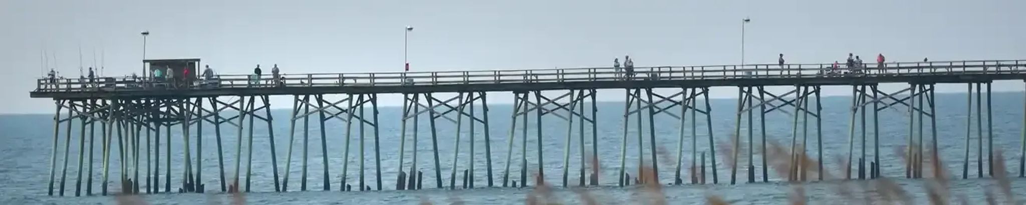 Cover for Jan W Hall's Obituary