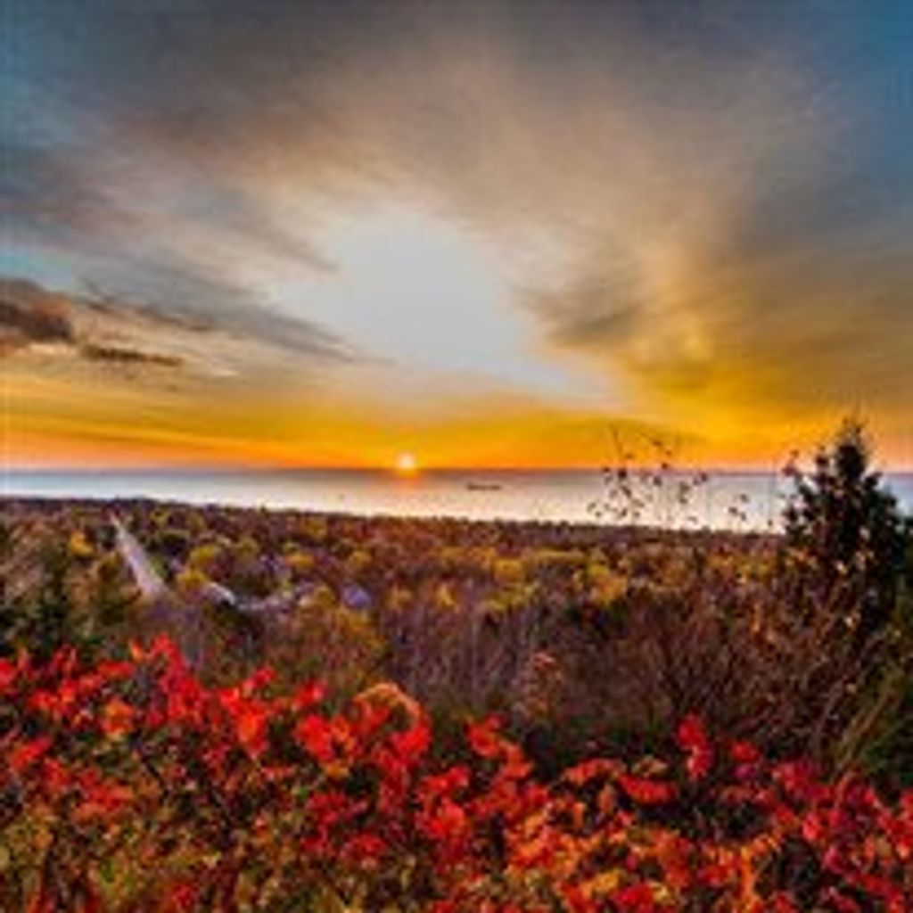 Thomas  Martin Williams