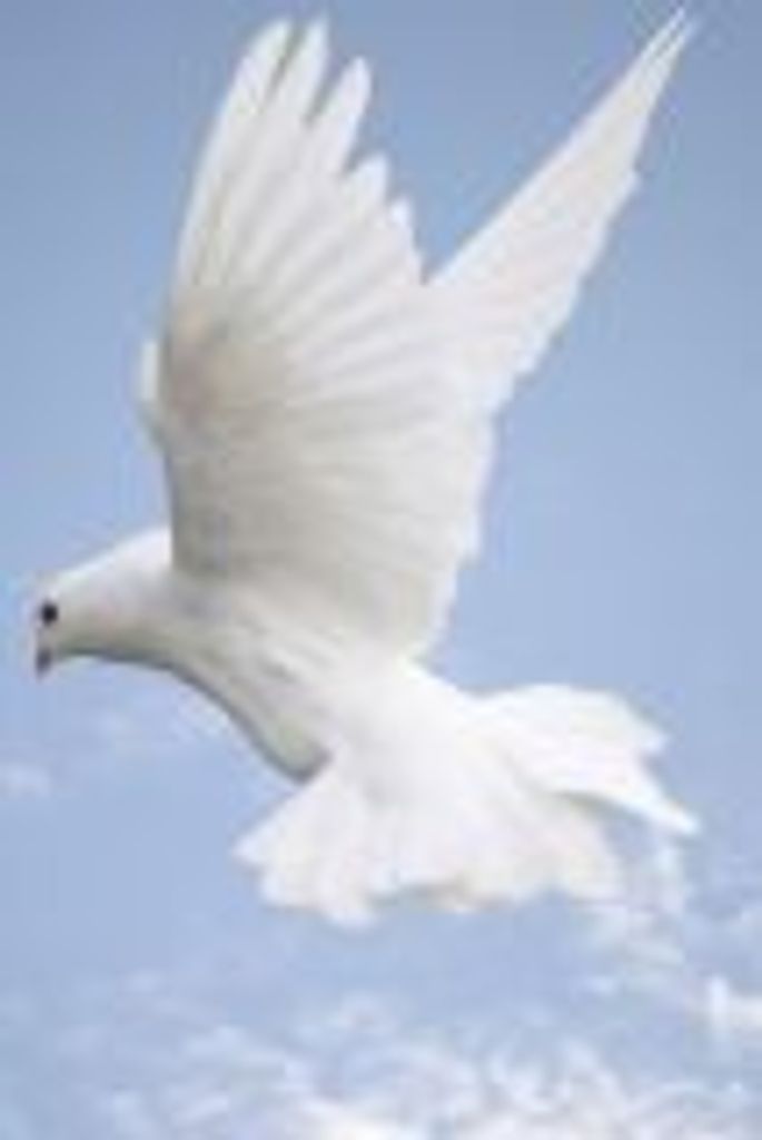 Carol Mcloud Profile Photo