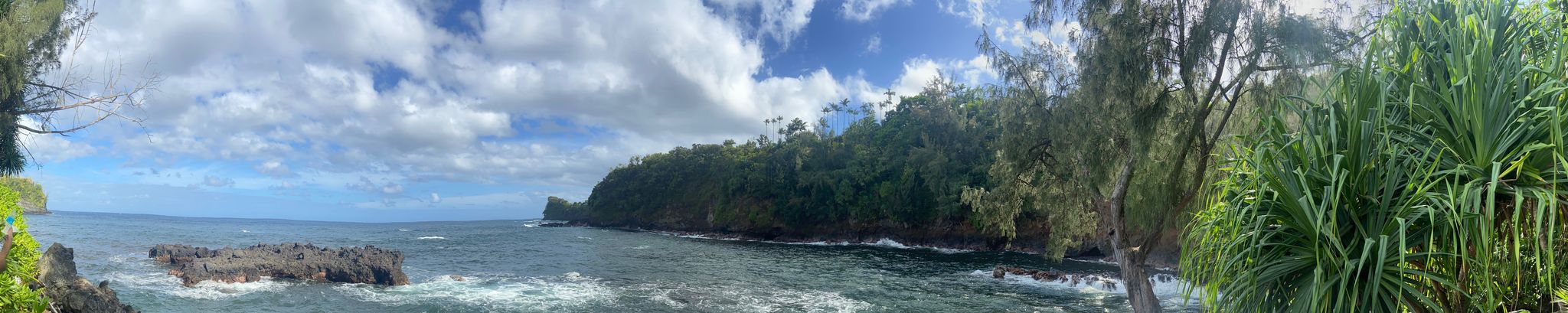 Cover for Alejandro Poli's Obituary