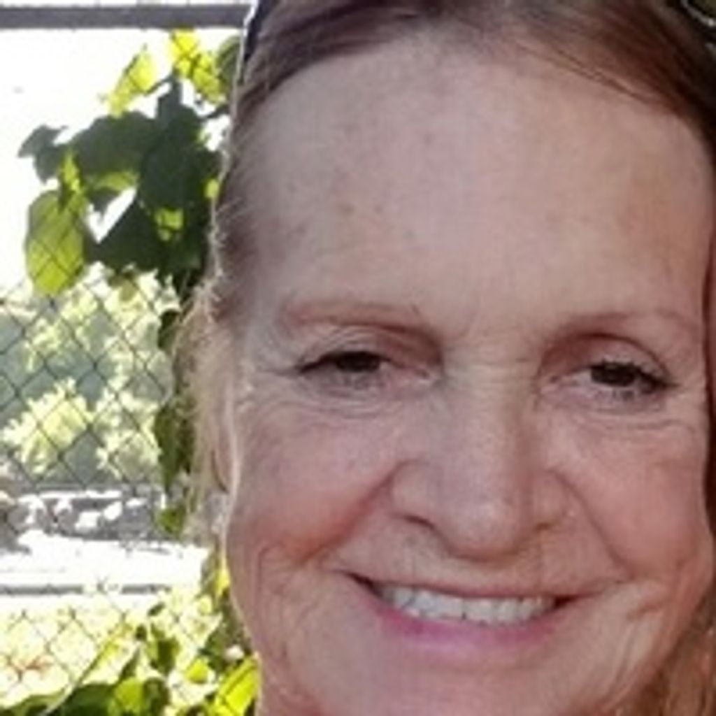 Judy  Ann Johnson