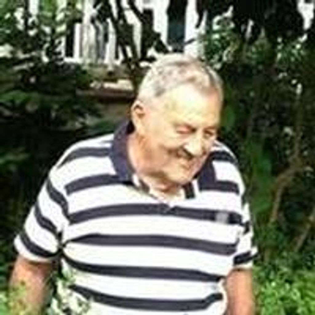 Vito A. Petruzzelli