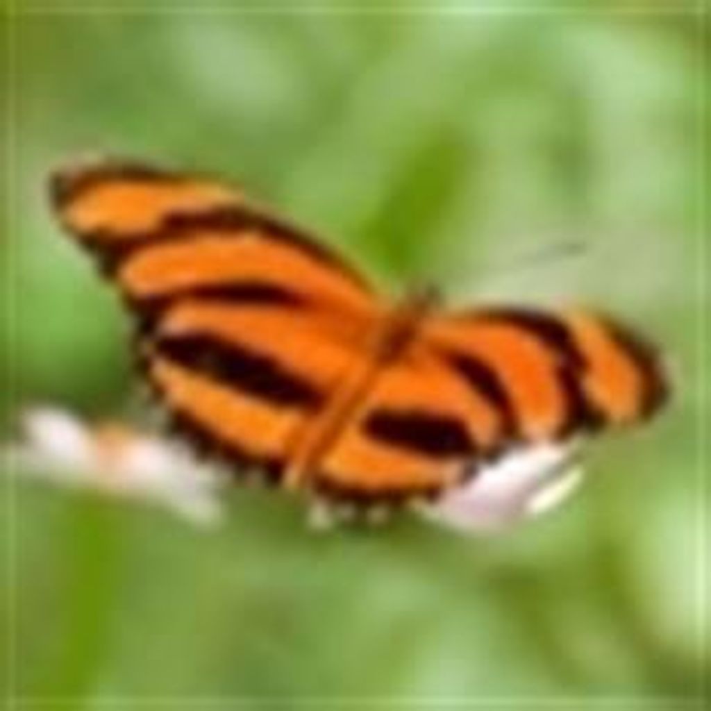 Stephanie A. James Profile Photo