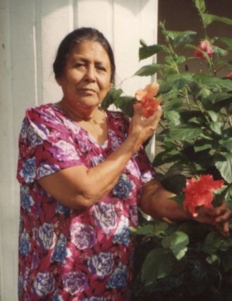 Mrs. Julia V. Martinez