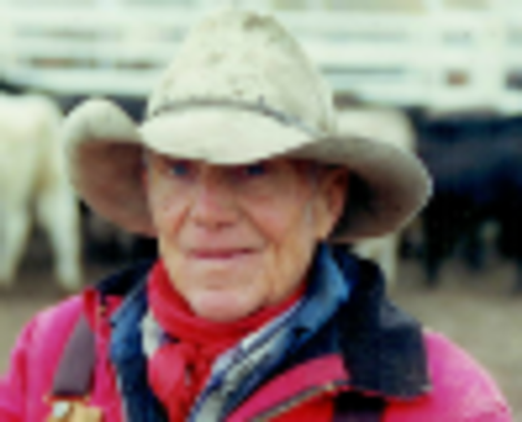 Louis Donason Profile Photo